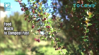 50KG Food Waste Composter 24H Compost